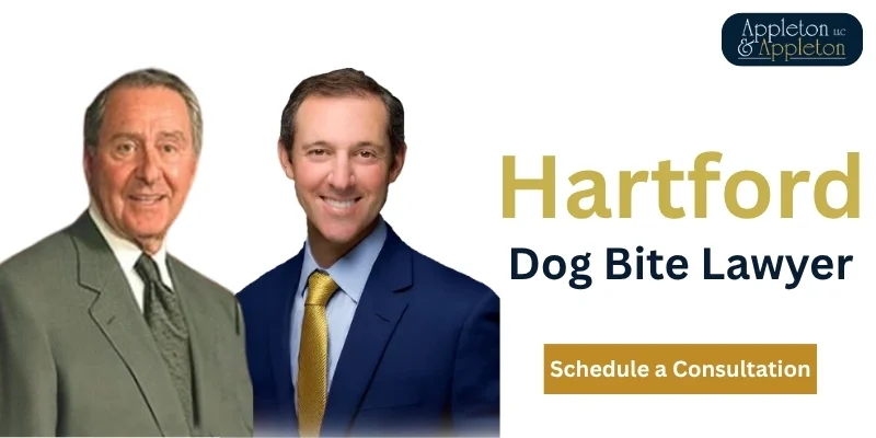 Hartford Dog Bite Lawyer-image